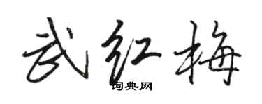 骆恒光武红梅行书个性签名怎么写