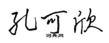 骆恒光孔可欣行书个性签名怎么写