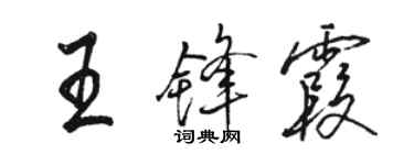 骆恒光王锋霞行书个性签名怎么写