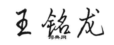 骆恒光王铭龙行书个性签名怎么写