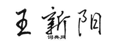 骆恒光王新阳行书个性签名怎么写