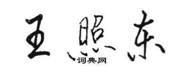 骆恒光王照东行书个性签名怎么写