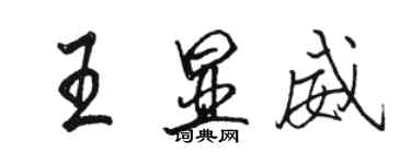 骆恒光王显威行书个性签名怎么写