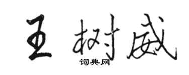 骆恒光王树威行书个性签名怎么写