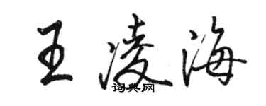 骆恒光王凌海行书个性签名怎么写