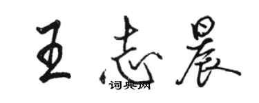 骆恒光王志晨行书个性签名怎么写