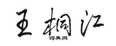 骆恒光王桐江行书个性签名怎么写