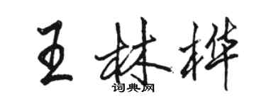 骆恒光王林桦行书个性签名怎么写
