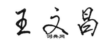 骆恒光王文昌行书个性签名怎么写