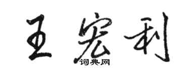 骆恒光王宏利行书个性签名怎么写