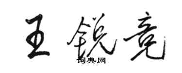 骆恒光王锐竞行书个性签名怎么写