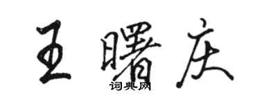 骆恒光王曙庆行书个性签名怎么写