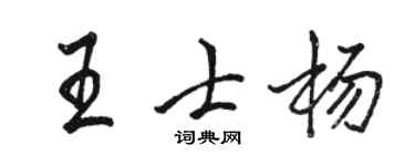 骆恒光王士杨行书个性签名怎么写