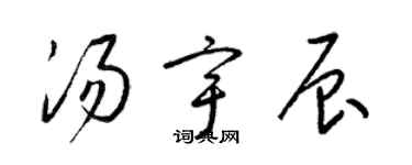 梁锦英汤宇辰草书个性签名怎么写