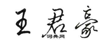 骆恒光王君豪行书个性签名怎么写