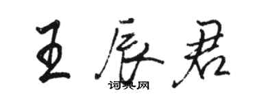 骆恒光王辰君行书个性签名怎么写
