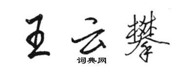 骆恒光王云攀行书个性签名怎么写