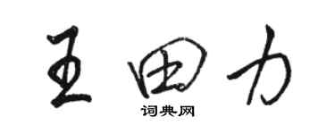骆恒光王田力行书个性签名怎么写