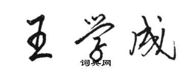 骆恒光王学成行书个性签名怎么写