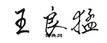 骆恒光王良猛行书个性签名怎么写