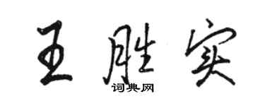 骆恒光王胜实行书个性签名怎么写