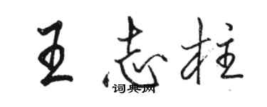 骆恒光王志柱行书个性签名怎么写