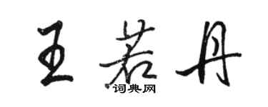 骆恒光王若丹行书个性签名怎么写