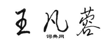 骆恒光王凡蓉行书个性签名怎么写