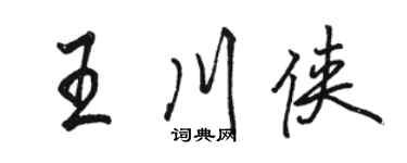 骆恒光王川侠行书个性签名怎么写