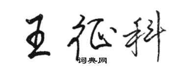 骆恒光王征科行书个性签名怎么写