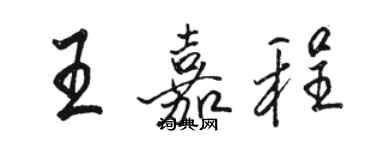 骆恒光王嘉程行书个性签名怎么写