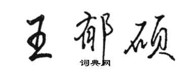 骆恒光王郁硕行书个性签名怎么写