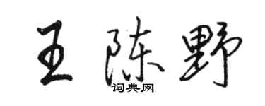 骆恒光王陈野行书个性签名怎么写