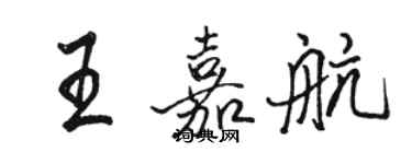 骆恒光王嘉航行书个性签名怎么写