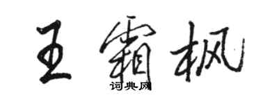 骆恒光王霜枫行书个性签名怎么写