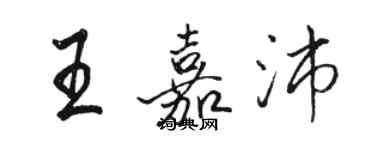 骆恒光王嘉沛行书个性签名怎么写