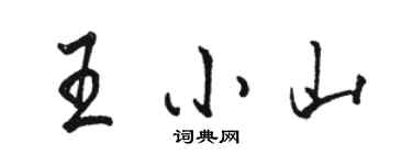 骆恒光王小山行书个性签名怎么写