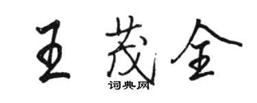 骆恒光王茂全行书个性签名怎么写