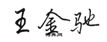 骆恒光王金驰行书个性签名怎么写