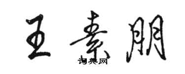 骆恒光王素朋行书个性签名怎么写