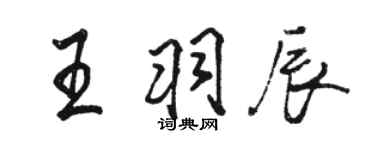 骆恒光王羽辰行书个性签名怎么写