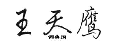 骆恒光王天鹰行书个性签名怎么写