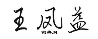 骆恒光王凤益行书个性签名怎么写
