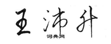 骆恒光王沛升行书个性签名怎么写