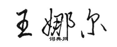 骆恒光王娜尔行书个性签名怎么写
