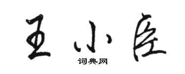 骆恒光王小臣行书个性签名怎么写