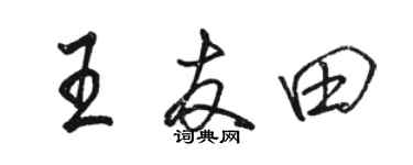 骆恒光王友田行书个性签名怎么写