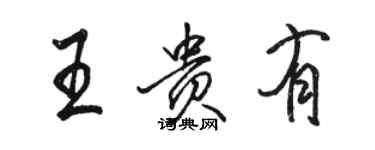 骆恒光王贵有行书个性签名怎么写