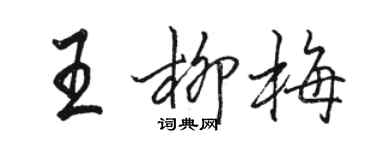 骆恒光王柳梅行书个性签名怎么写