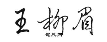 骆恒光王柳眉行书个性签名怎么写